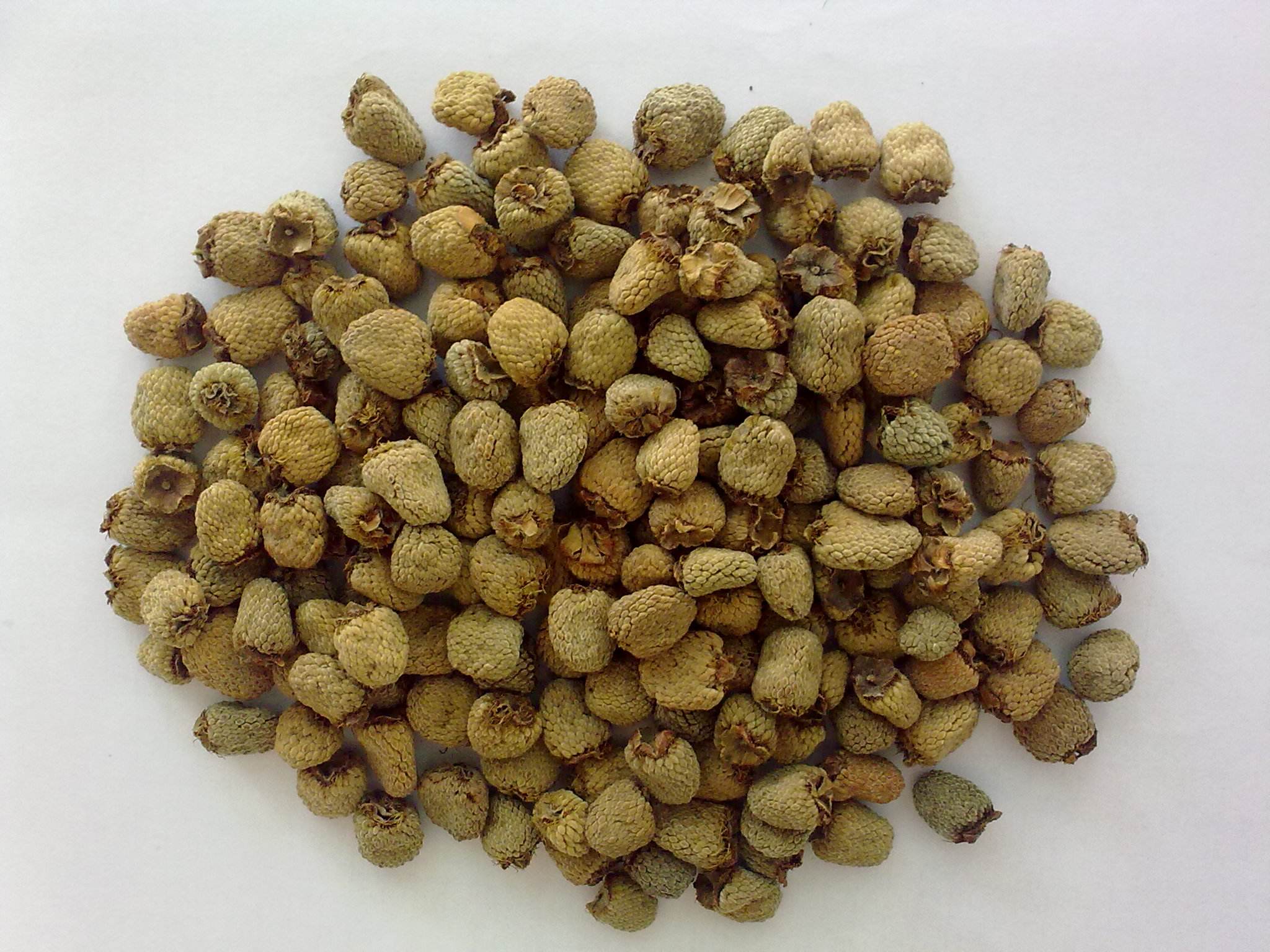 岱工汤中药科普系列--覆盆子 - kyc healthy group 香港陈谨瑜健康产